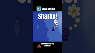 Graal Tropical  Shark Teaser [upl. by Dombrowski]