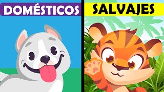 ANIMALES DOMESTICOS y SALVAJES para niños  🐶 RESUMEN 🐍 [upl. by Freudberg]