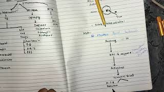 Anti Mycobacteria part 1 chemopharma katzung lippincot pharmacology [upl. by Soo]