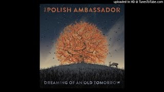 Camino Rojo ft Lulacruza  Dreaming of an Old Tomorrow  The Polish Ambassador [upl. by Ainirtac]