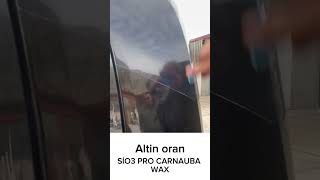 Altin oran SiO3 PRO CARNAUBA WAX automobile carcare cardetailling detailing [upl. by Wendalyn802]