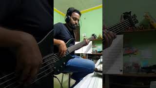 Ace Of Base  The Sign 1993 Bass Cover [upl. by Eniretak]