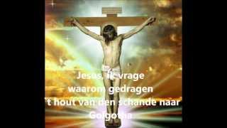 O Jesu zoet gekleurd met bloed door kroon en geselroede ORGEL SAMENZANG [upl. by Rayle]