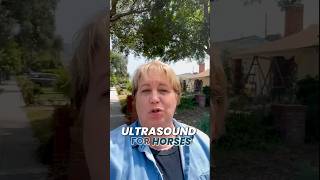 Are Ultrasounds For Horses Useful horsecare equinehealth shorts [upl. by Ytissac]