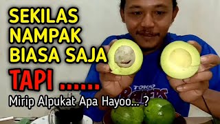 ALPUKAT TUMON  SEKILAS NAMPAK BIASA SAJA TAPI [upl. by Remle]