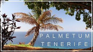 Palmetum Santa Cruz de Tenerife [upl. by Llain31]