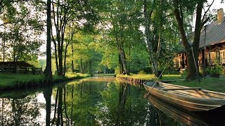 Lübbenau im Spreewald  Urlaub und Erholung im UNESCO Biosphärenreservat [upl. by Amada]