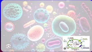 UNDERSTANDING ANTIMICROBIAL RESISTANCE AMRquot A Global Health Threat Explainedquot [upl. by Yntruoc757]