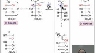 Basepromoted Sugar Isomerization [upl. by Skier]