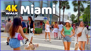 【4K】𝐖𝐀𝐋𝐊 ➜ ☘️ MIAMI 🇺🇸 USA 🇺🇸 4K video 𝐇𝐃𝐑 [upl. by Swift909]