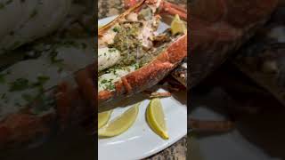 Lobster Homard seafood food foodie [upl. by Yemrej]