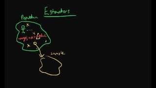 Estimators  the basics [upl. by Cammi841]