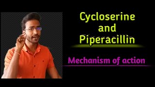 Cycloserine and Piperacillin Mechanism of action [upl. by Brentt]