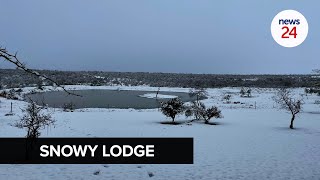 WATCH  Cheetah Ridge Lodge in KZN transforms into a winter wonderland with morning snowfall [upl. by Rothstein]