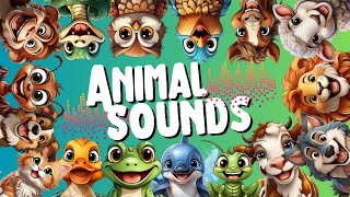 Animal Sounds  2024 New  OtterOtter  Kids SingAlong Song  Nursery Rhymes [upl. by Neerehs]