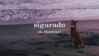 Oh Flamingo  Sigurado Official Lyric Video [upl. by Reahard]