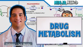 Pharmacokinetics  Drug Metabolism [upl. by Tireb]