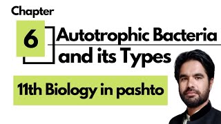 Autotrophic Bacteria  Photoautotrophs  Chemoautotrophs  11th Biology in pashto [upl. by Ankeny]