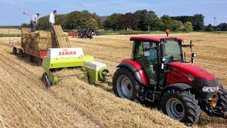 Tarwe stro persen met CLAAS Markant 65 Paardencentrum Op de Heegswal Uithuizen [upl. by Ylrrad]