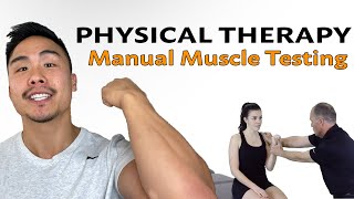 Manual Muscle Testing [upl. by Musette778]