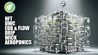 6 Different Hydroponics Systems Explained [upl. by Feodore]