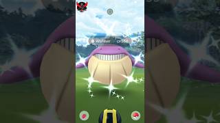 Getting Lucky With✨shiny Wailmer in pokemon go pokemon soparstart [upl. by Ecirtnas151]