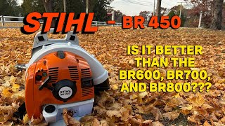 STIHL BR450 Leaf Blower Why Did I Choose It Over the BR600 BR700 and BR800 [upl. by Ardenia257]