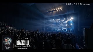 『澤野弘之 LIVE nZk008』DIGEST [upl. by Yehs166]