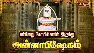 அன்னாபிஷேகம் பல்வேறு கோயில்களில் இருந்து  Annabishekam 2024  Jothitv [upl. by Ihsorih]