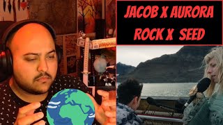 Jacob Collier x Aurora A Rock Somewhere x The Seed Reaction  A Cry for Hope [upl. by Anawad]