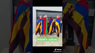 Ndeebele culture 🇲🇺❤️ [upl. by Endo]