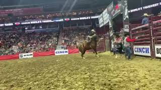 Saddle Bronc Riding [upl. by Dorman]