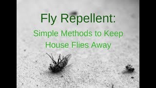 DIY Fly Repellent [upl. by Tterrag]