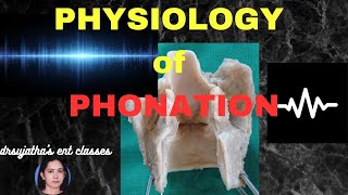 219Physiology of Phonation ent anatomyphysiology sound [upl. by Eirameinna196]