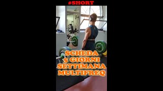 LA MIA SPLIT IN PALESTRA  5 GIORNI  MULTIFREQUENZA  Shorts [upl. by Eimerej]