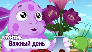 Важный день 🍂 Лунтик 🍁 Сборник мультфильмов 2018 [upl. by Tami]