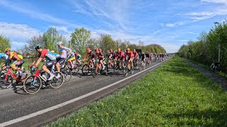 Doortocht Ronde van Vlaanderen 2024 in DendermondeLebbeke ⚫🟡🚴 [upl. by Scotney537]