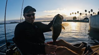 Mission Bay 1 Hour Sesh Stellarbaits Jerk Bait Defeats Slack Tide [upl. by Lamahj]