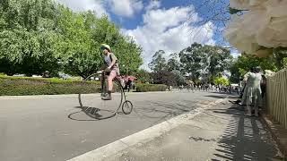 Evendale Pennyfarthing race 2023 relay [upl. by Alphonso]