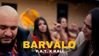 PAT x Kali  Barválo Official Video [upl. by Tatiana180]