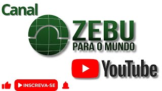 ZEBU PARA O MUNDO  12h ZPM AO VIVO [upl. by Cortie]