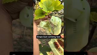 New Lightweight Gadget For Grape Farmers coolgadgets tools [upl. by Ecreip224]