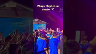 Fluye Espíritu Santo 🕊️ ✝️✡️ like cristianmusic love espiritusanto evangelio reels shorts [upl. by Nyral]