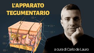 Lapparato tegumentario [upl. by Eclud]