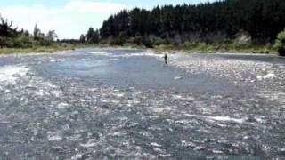 Flyfishing the Tongariro River New Zealand [upl. by Elocaj]