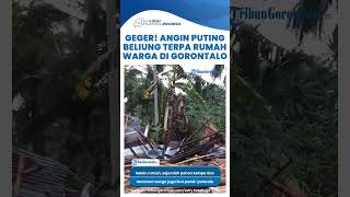 Terdampak Angin Puting Beliung Warga Desa Ulobua Gorontalo Bertahan di Tengah Puing Puing [upl. by Nodnelg637]