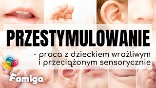 Przestymulowanie Praca z dzieckiem wrażliwym i przeciążonym sensorycznie [upl. by Milzie548]