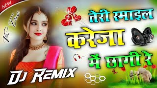 Teri Smile Kaleja Per Chha Gai Re Dj Remix Instagram Viral Song 2025 Bukhar Dj Song Dj Vikas Etawah [upl. by Packston66]