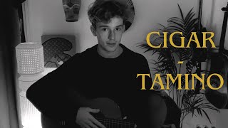 Cigar  Tamino  Acoustic Cover ðŸŒ¿ [upl. by Llertnac]