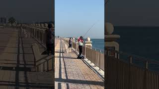 jubail jubailcity indojubail mancing fishing angler [upl. by Akoek]